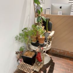 -Y-STUDIO原理