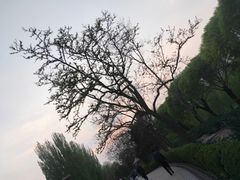 -香妃烤鸡(新奥店)