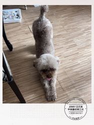 -JERRY日式美甲美睫纹绣工坊