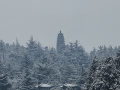 -龙口南山旅游景区