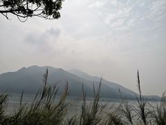 -羚羊峡古栈道森林公园