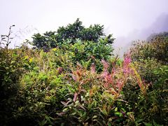 -白草畔自然风景区