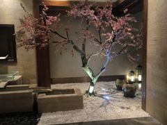 -爱乐国际温泉水疗会