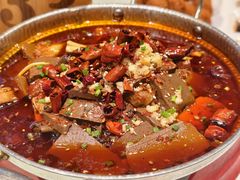 -新侨小馆(东直门北小街店)