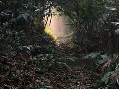 -广州市白云山风景名胜区