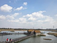 -宁波杭州湾国家湿地公园