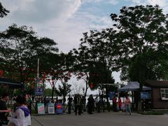 -贡湖湾湿地公园