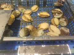 -九月海·海鲜自助(世纪东方店)