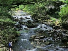 -广州市石门国家森林公园