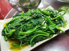 清炒苕尖-邹记酸菜鱼