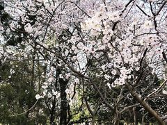 -玲珑塔公园