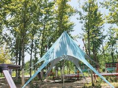 -野鸭湖国家湿地公园