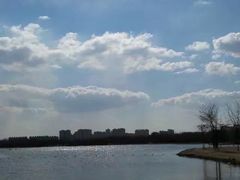 -大兴滨河森林公园