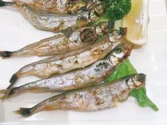 -莲寿司(上邦店)