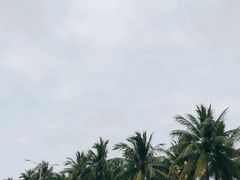 -万绿园