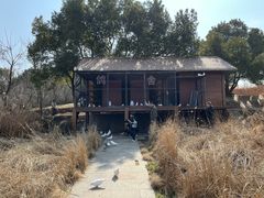 -良渚古城遗址公园
