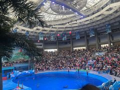 -海合安成都极地海洋公园