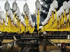 -护国法轮寺