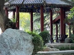 -中国唐苑
