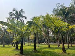 -中国科学院西双版纳热带植物园