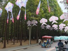 -日照海滨国家森林公园