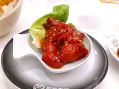 芝麻八爪鱼-元气寿司(金光华店)