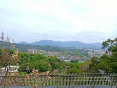 -福道