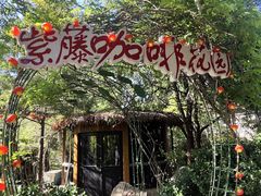 -太阳宫公园