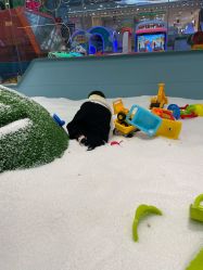 -卡通尼乐园(武商MALL·世贸店)