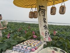 -七的湖·晚芳亭·阳澄湖农家菜·大闸蟹(莲花岛店)