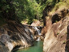 -广州白江湖森林公园