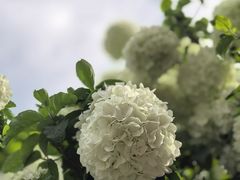 -苏州上方山国家森林公园