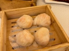 -金翠皇宫粤菜·点心·海鲜(翡翠店)