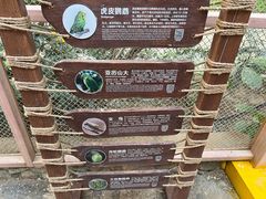 -南宫五洲植物乐园