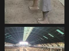 -秦始皇帝陵博物院(兵马俑)