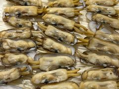 葱油蛏子-千岛湖小鱼儿·淳安匠心农家菜