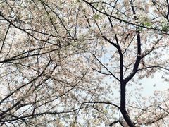 -苏州上方山国家森林公园