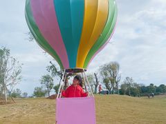 -武汉紫薇都市田园