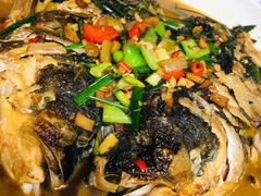 -国生茶庄·地道农家菜团建活动