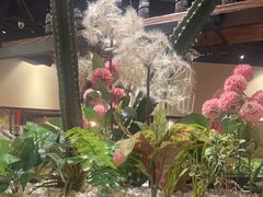 -百特喜·意大利餐厅(八佰伴镇江店)