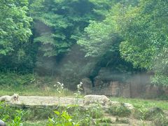 -杭州野生动物世界