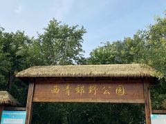 -西青郊野公园
