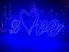 -哈尔滨文化公园