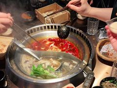 -辣伍鲜毛肚老火锅(元一店)