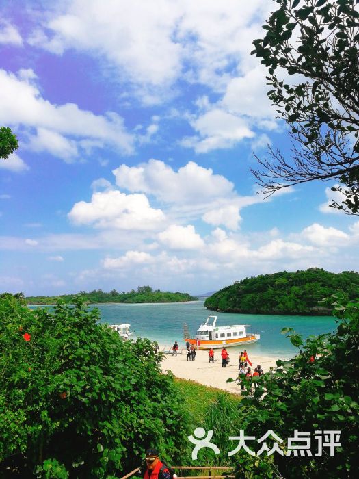 初夏momo上传的图片