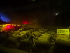 -汉景帝阳陵博物院