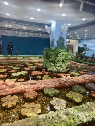 -钓虾工场·钓虾·赶海(回龙观店)