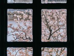 -拙政园
