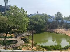 -西霞口神雕山野生动物世界