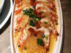 -新白鹿餐厅(金鹰新街口店)